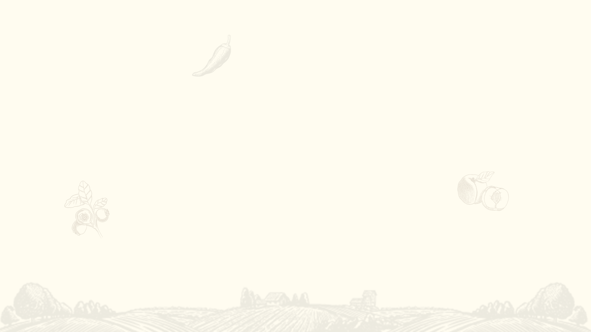 bg-pocetna-2